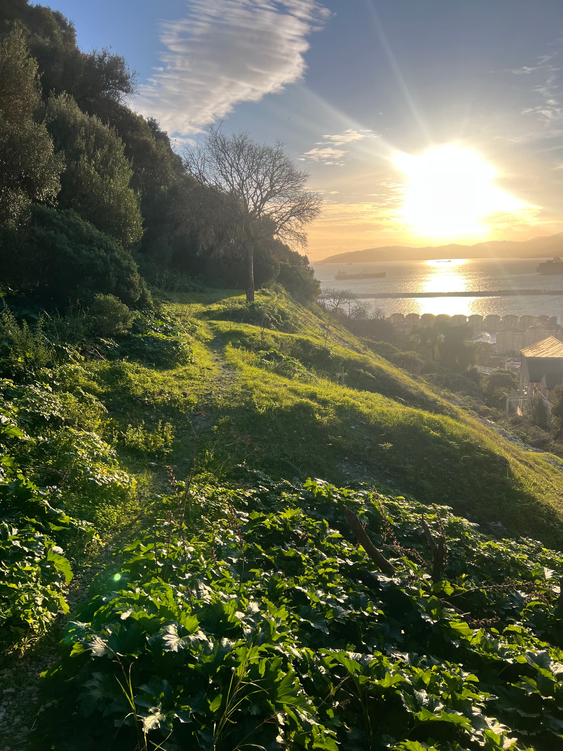 Gibraltar bay at sunrise, the sun over the water beyond the town