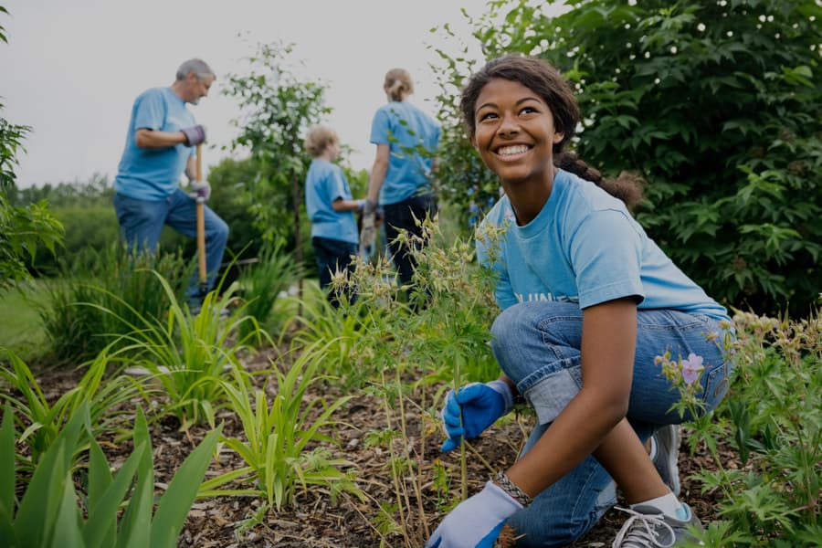 Volunteers planting together